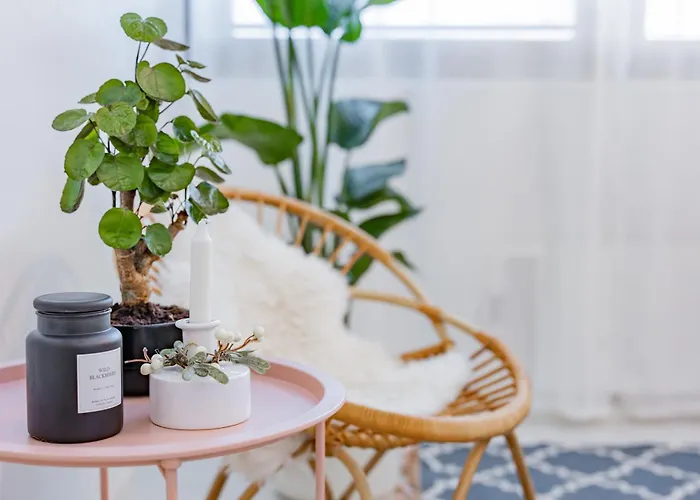 Away From Apartamento *